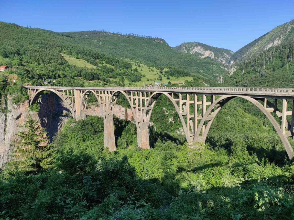 Mountain Soul Rest Villa Žabljak Dış mekan fotoğraf