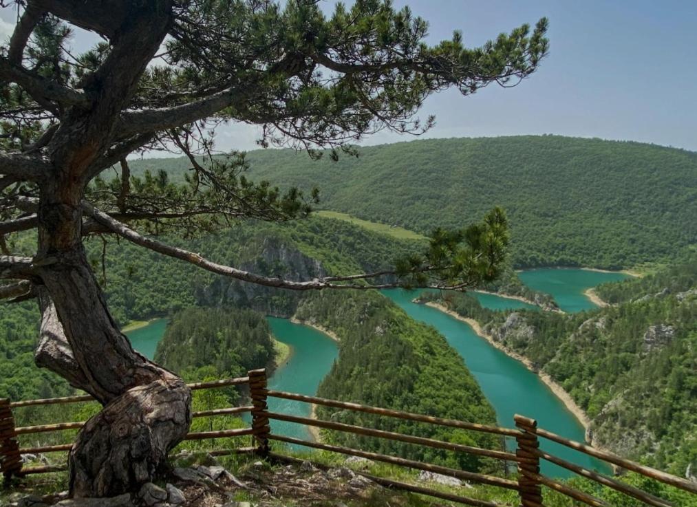 Mountain Soul Rest Villa Žabljak Dış mekan fotoğraf